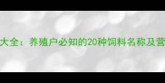 牛饲料配方大全养殖户必知的20种饲料名称及营养搭配指南