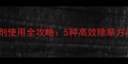 大棚甜瓜除草剂使用全攻略5种高效除草方案及操作要点