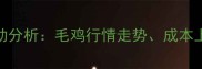 8月肉鸡价格波动分析毛鸡行情走势成本上涨与市场预测