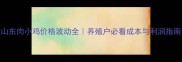 山东肉小鸡价格波动全养殖户必看成本与利润指南