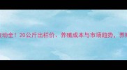 生猪价格波动全20公斤出栏价养殖成本与市场趋势养殖户必看