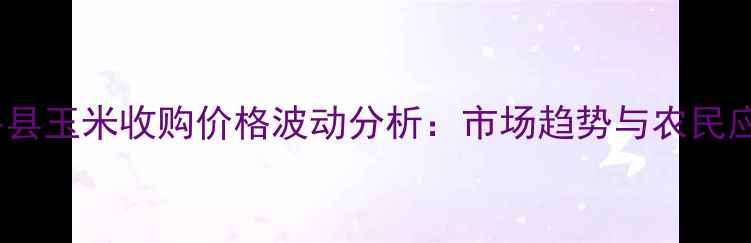 图片 10月东平县玉米收购价格波动分析：市场趋势与农民应对策略2