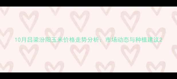 图片 10月吕梁汾阳玉米价格走势分析：市场动态与种植建议2