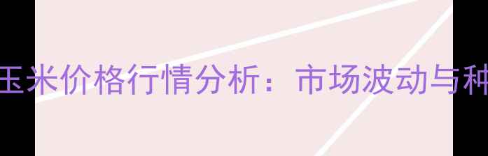 图片 10月四川中江玉米价格行情分析：市场波动与种植户应对策略