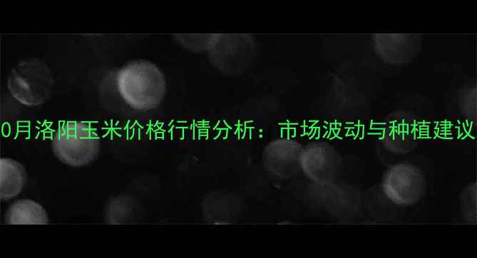 图片 10月洛阳玉米价格行情分析：市场波动与种植建议2