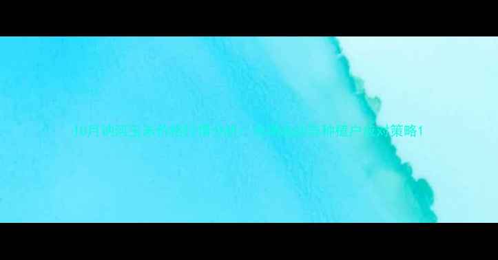 图片 10月讷河玉米价格行情分析：市场波动与种植户应对策略1