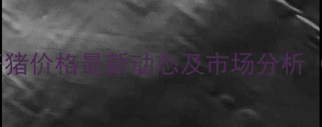 图片 10月辽宁黑山仔猪价格最新动态及市场分析（附养殖建议）2