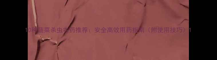 图片 10种蔬菜杀虫农药推荐：安全高效用药指南（附使用技巧）1