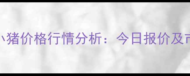 图片 11月广东省小猪价格行情分析：今日报价及市场趋势解读