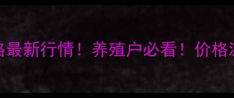 图片 12月13号全国肥猪价格最新行情！养殖户必看！价格波动全+未来趋势预测2