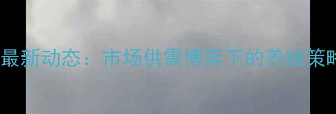 图片 12月15日铁岭生猪价格最新动态：市场供需博弈下的养殖策略（附行业深度报告）2