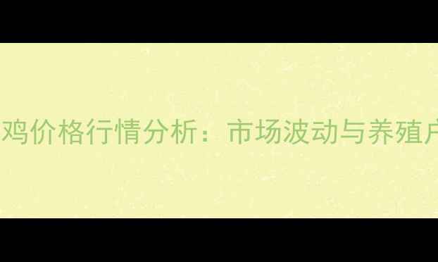 图片 12月30日肉鸡价格行情分析：市场波动与养殖户应对策略2