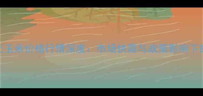 图片 12月6日东北玉米价格行情深度：市场供需与政策影响下的走势预测1