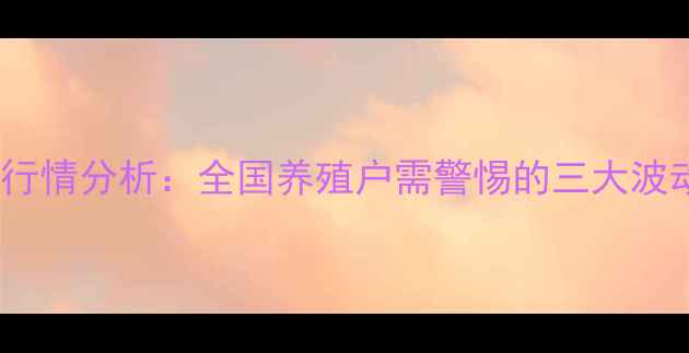 图片 12月6日肉鸡价格行情分析：全国养殖户需警惕的三大波动信号与应对策略