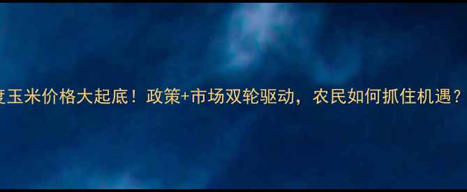 图片 1季度玉米价格大起底！政策+市场双轮驱动，农民如何抓住机遇？🌾📊