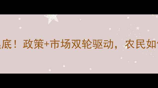图片 1季度玉米价格大起底！政策+市场双轮驱动，农民如何抓住机遇？🌾📊1