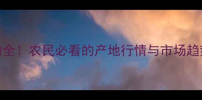 图片 1月13玉米价格波动全！农民必看的产地行情与市场趋势（附种植建议）1