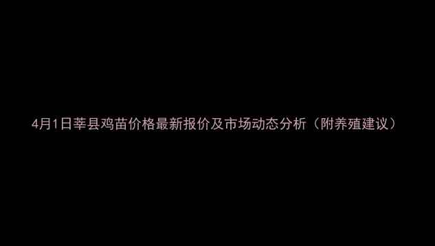 图片 4月1日莘县鸡苗价格最新报价及市场动态分析（附养殖建议）