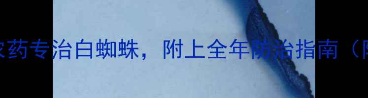 图片 5种高效农药专治白蜘蛛，附上全年防治指南（附配图）1