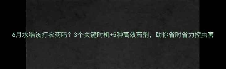 图片 6月水稻该打农药吗？3个关键时机+5种高效药剂，助你省时省力控虫害