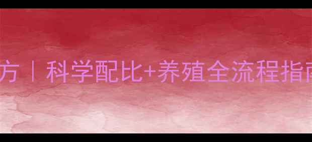 图片 817肉鸡饲料配方｜科学配比+养殖全流程指南，新手必看！