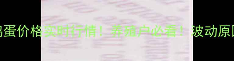 图片 8月25日西平鸡蛋价格实时行情！养殖户必看！波动原因+未来趋势全