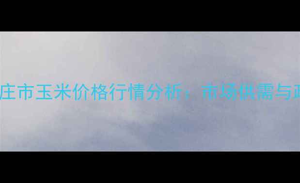 图片 8月山东省枣庄市玉米价格行情分析：市场供需与政策影响解读
