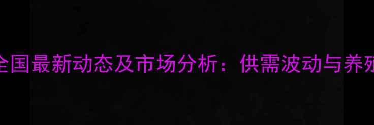图片 8月鸡肉价格全国最新动态及市场分析：供需波动与养殖户应对策略2