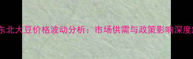图片 9月东北大豆价格波动分析：市场供需与政策影响深度解读