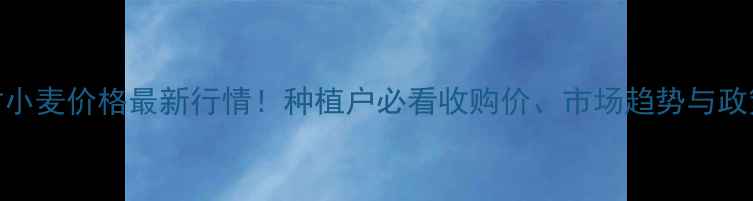 图片 9月开封小麦价格最新行情！种植户必看收购价、市场趋势与政策解读1