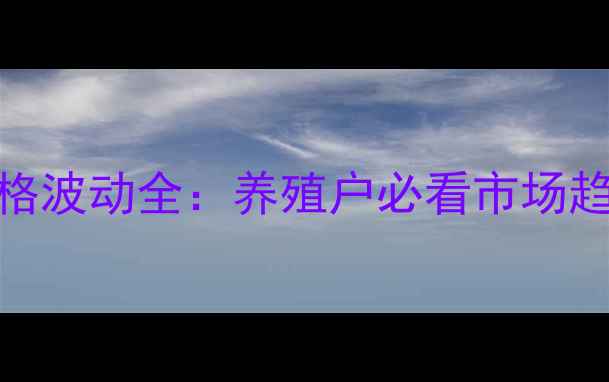 图片 9月河南鸡蛋价格波动全：养殖户必看市场趋势与应对策略1