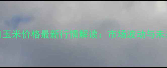 图片 9月锦州港口玉米价格最新行情解读：市场波动与未来趋势分析2