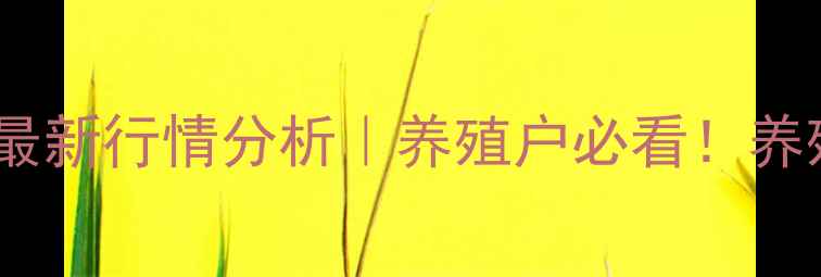 图片 X月X日山西生猪价格最新行情分析｜养殖户必看！养殖技术+市场趋势全🔥