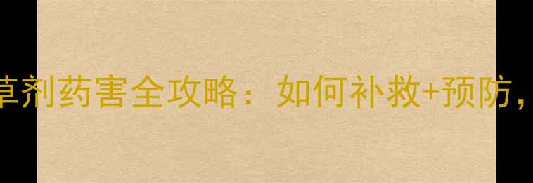图片 ⚠️警惕！24d丁酯除草剂药害全攻略：如何补救+预防，守护croppedfield！1