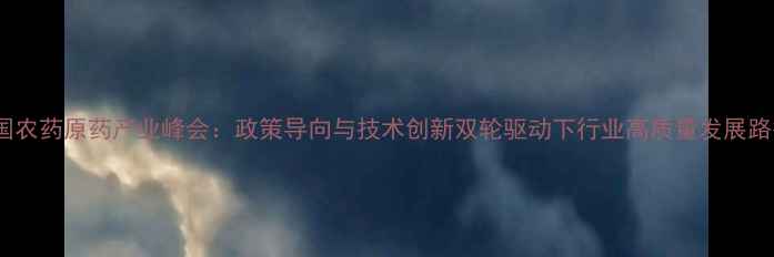图片 上海全国农药原药产业峰会：政策导向与技术创新双轮驱动下行业高质量发展路径探析1