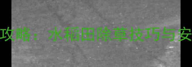 图片 丙草胺除草剂使用全攻略：水稻田除草技巧与安全指南（附配比表）