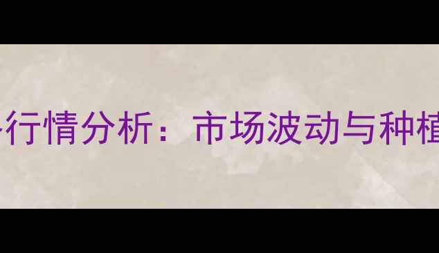 图片 东北玉米价格行情分析：市场波动与种植户应对策略1