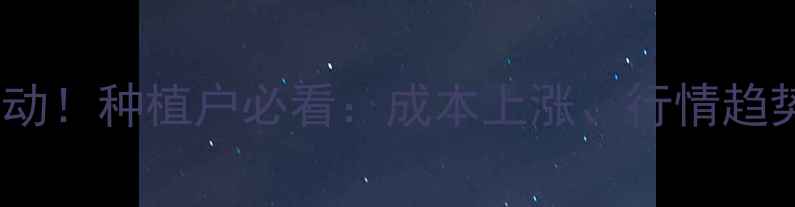 图片 东北玉米最新价格波动！种植户必看：成本上涨、行情趋势、销售技巧全🌾💰1