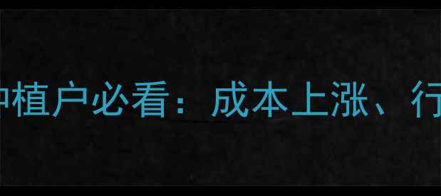 图片 东北玉米最新价格波动！种植户必看：成本上涨、行情趋势、销售技巧全🌾💰2