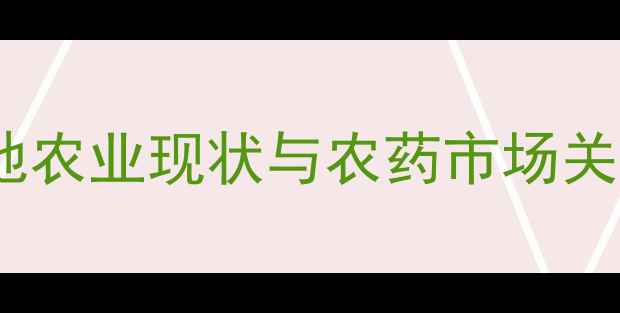 图片 东北黑土地农业现状与农药市场关联性分析2
