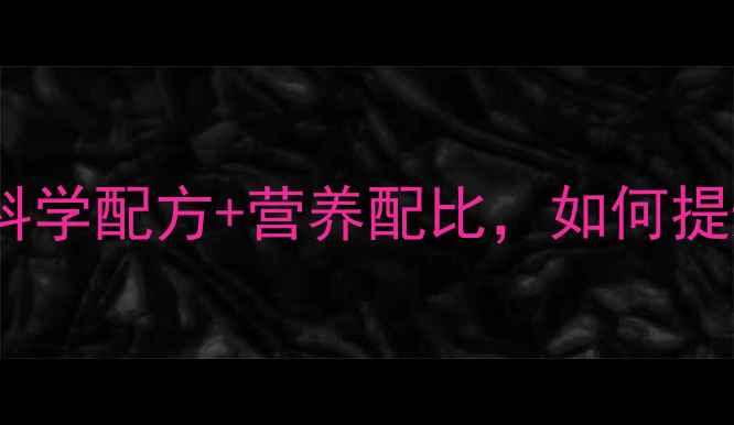 图片 东粮猪饲料养殖户必看！科学配方+营养配比，如何提升猪群健康与经济效益？1