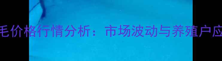 图片 中国皮毛价格行情分析：市场波动与养殖户应对策略