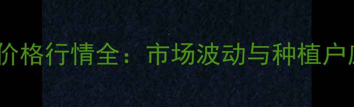 图片 中国辣椒价格行情全：市场波动与种植户应对策略2