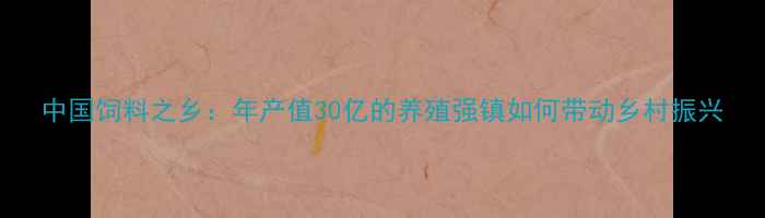 图片 中国饲料之乡：年产值30亿的养殖强镇如何带动乡村振兴