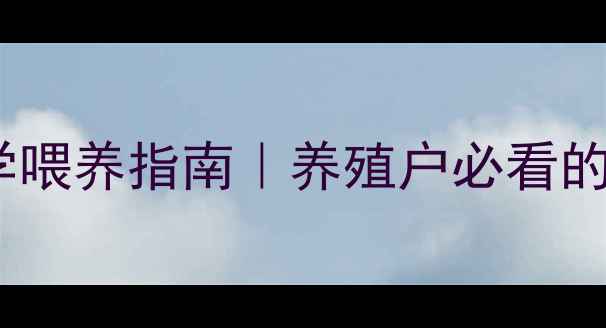 图片 中科羊饲料科学喂养指南｜养殖户必看的高效增重方案1