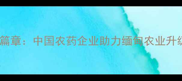 图片 中缅农业合作新篇章：中国农药企业助力缅甸农业升级的机遇与挑战2