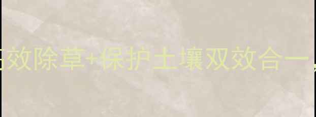 图片 丰倍尔除草剂：高效除草+保护土壤双效合一，农田管理新选择