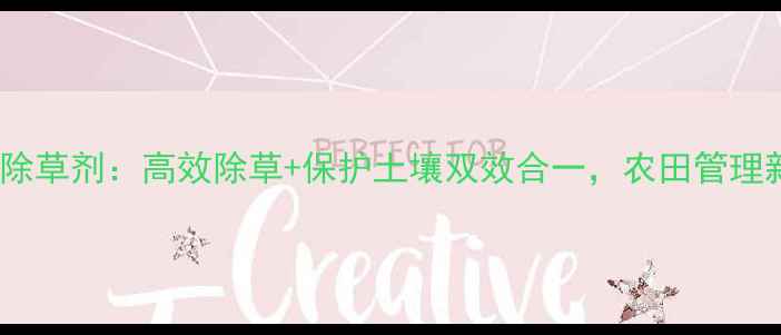图片 丰倍尔除草剂：高效除草+保护土壤双效合一，农田管理新选择2