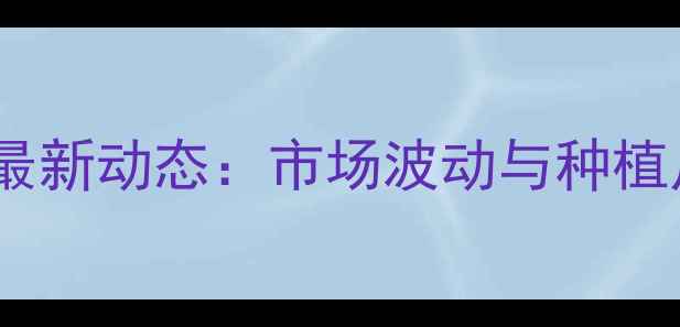 图片 临汾玉米价格最新动态：市场波动与种植户应对策略全1