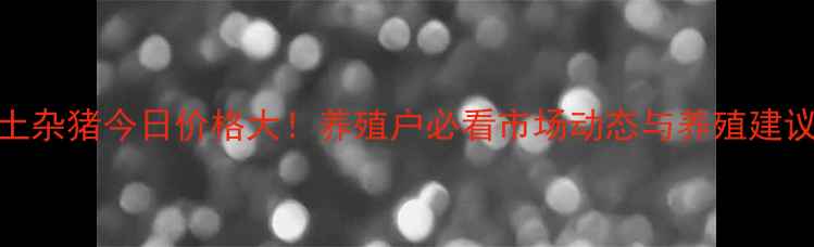 图片 临沭土杂猪今日价格大！养殖户必看市场动态与养殖建议🐷📊